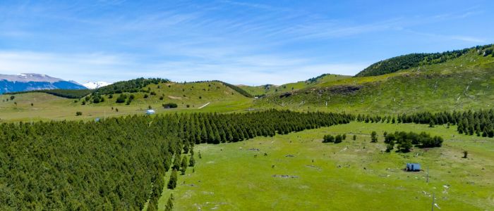 Fundo Huemul Coyhaique - Aysén