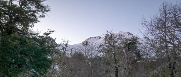 Reserva Los Carpinteros Pinto - Ñuble