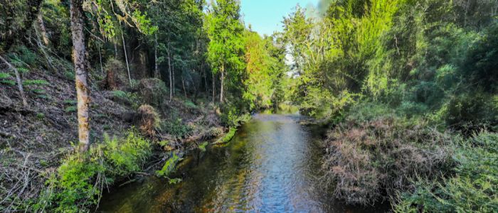 Cruce Degañ Ancud - Los Lagos