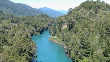 Ribera Río Palena Cisnes - Aysén