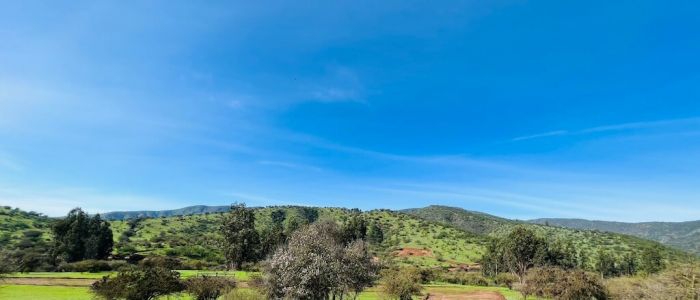 La Campiña de Melipilla Melipilla - Región Metropolitana