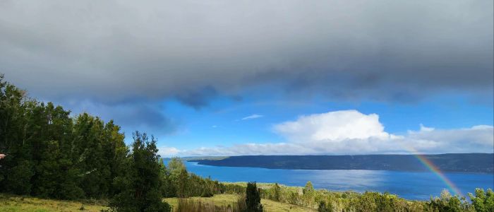 Azul Canelo Queilén - Los Lagos