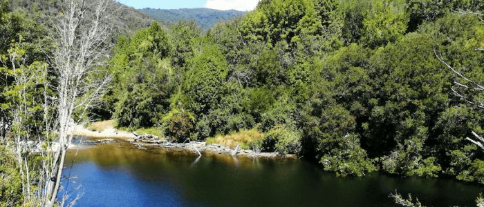 Refugio Chiloé Dalcahue - Los Lagos