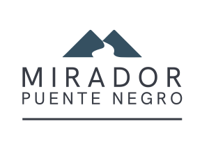 Vista Puente Negro SpA logo