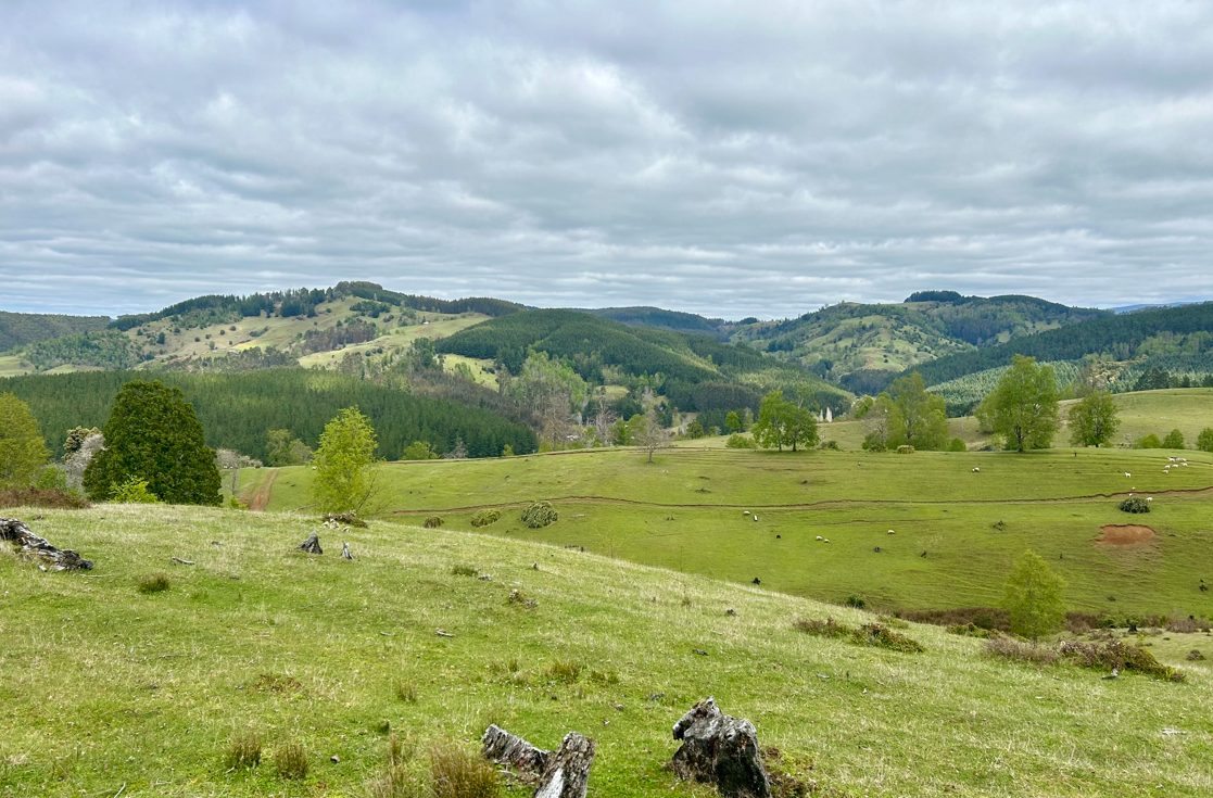 Mirador de Osorno Osorno - Los Lagos