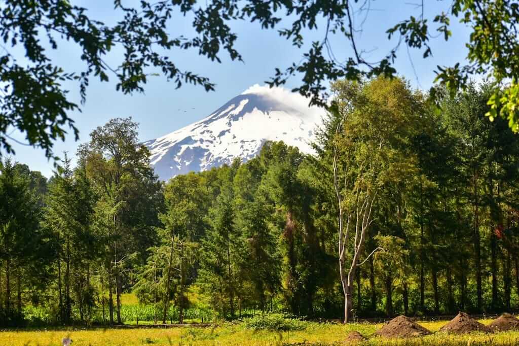 Canto del Bosque Villarrica - La Araucanía