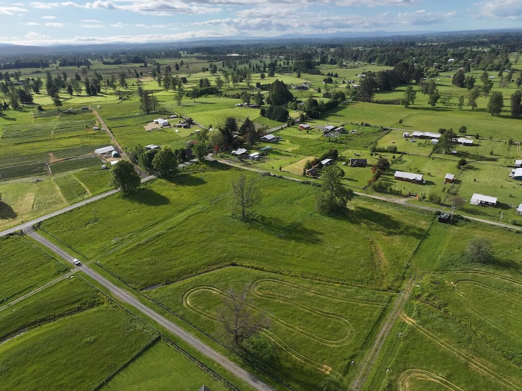 Parque Los Robles Osorno - Los Lagos