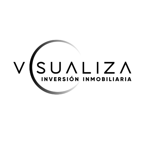 Visualiza logo