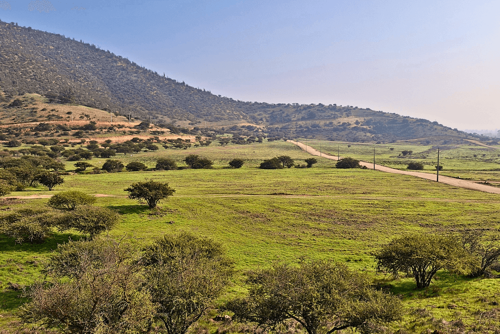 Fundo Baracaldo María Pinto - Región Metropolitana