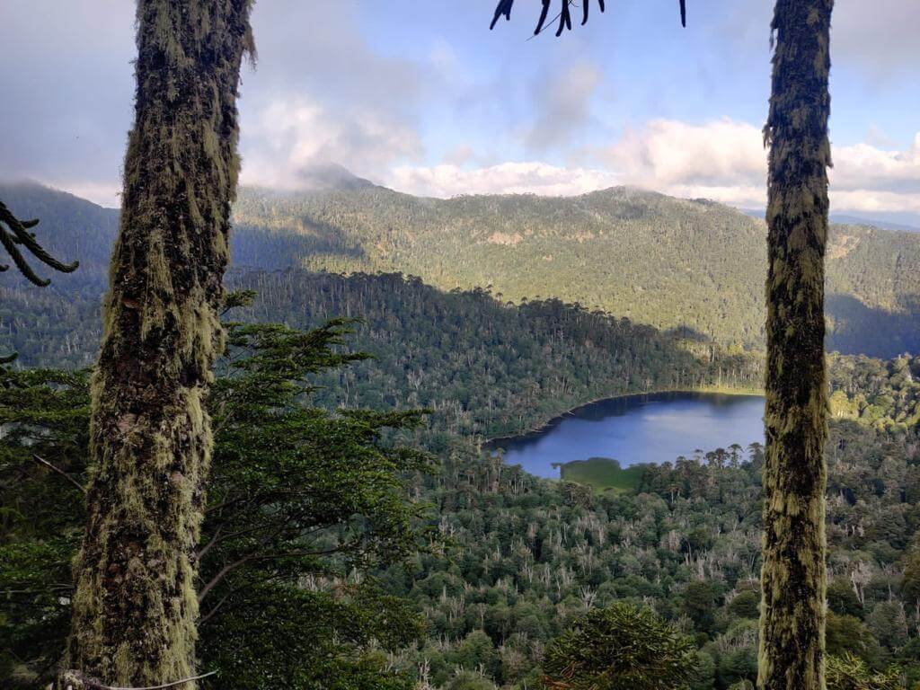 Huife Andino Pucón - La Araucanía