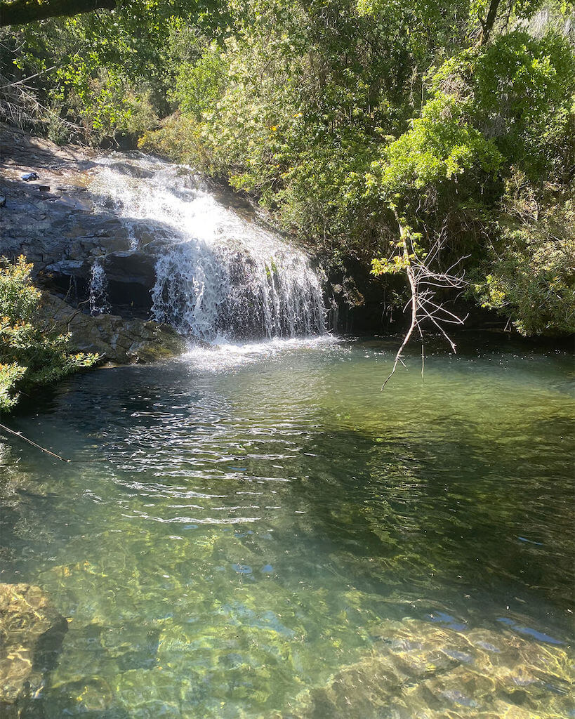 Reserva Chequenlemu Curicó - Maule