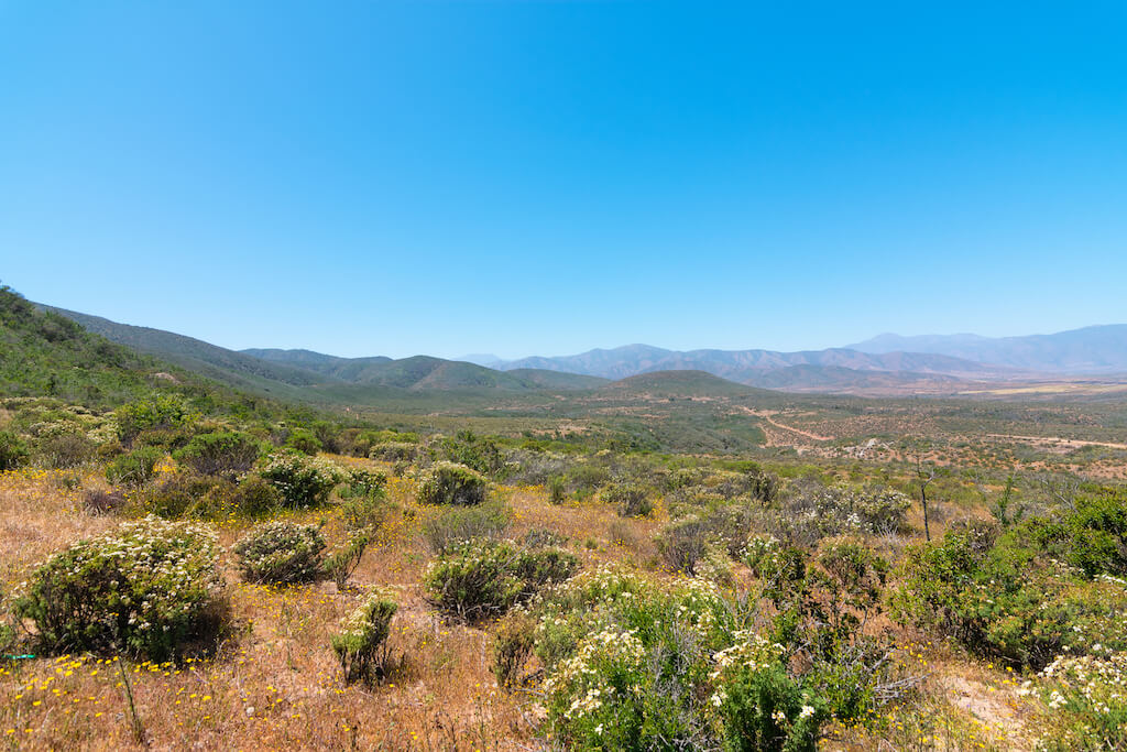 EcoQuilimari Los Vilos - Coquimbo