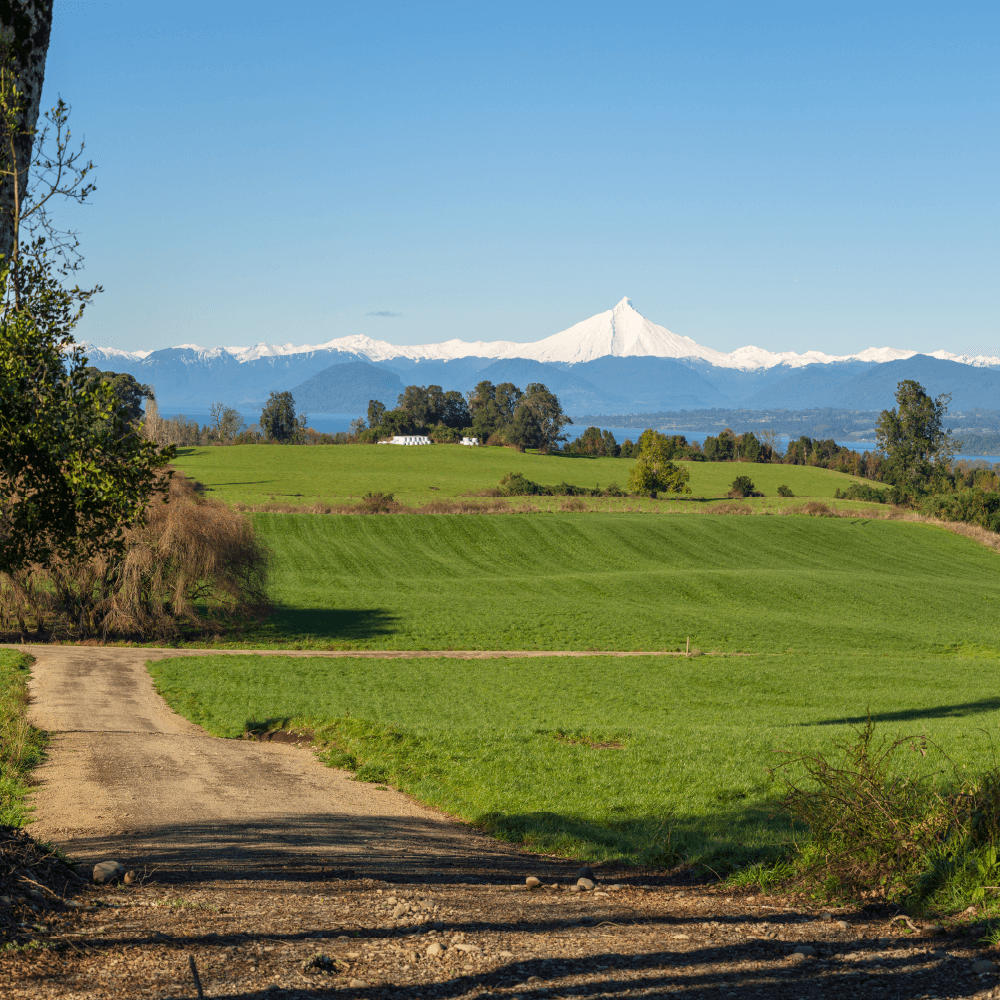 Laderas del Rupanco Puyehue - Los Lagos