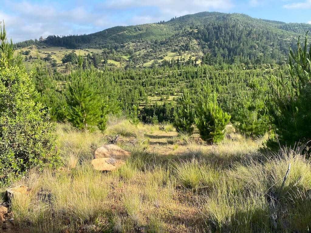 Club de Campo Cauquenes Empedrado - Maule