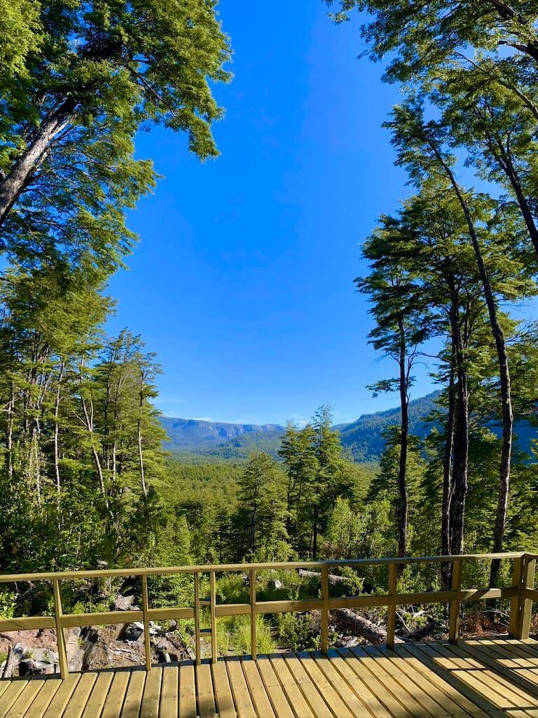 Bosques de Huililco Curarrehue - La Araucanía