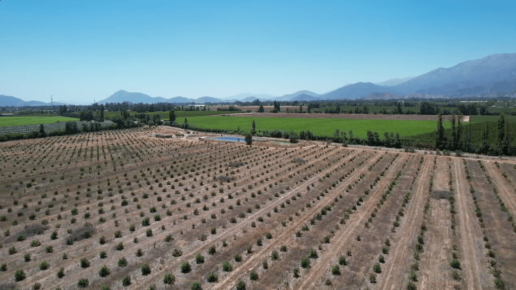 Hacienda Codegua Codegua - O'Higgins