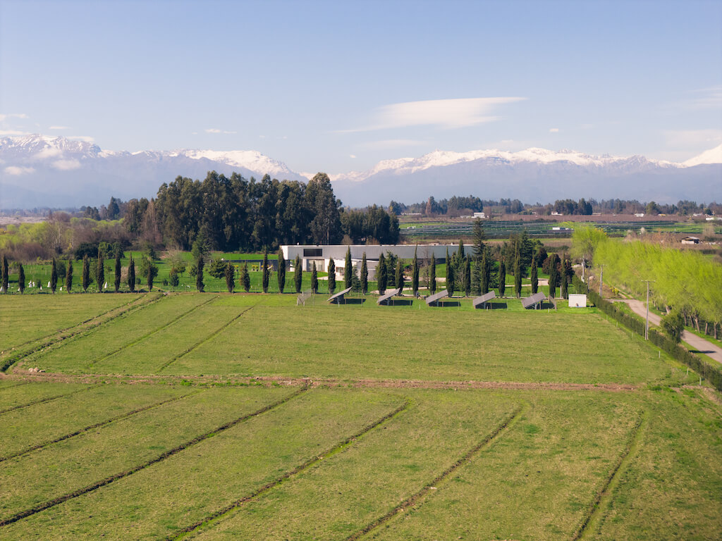 Valle Curicó Teno - Maule