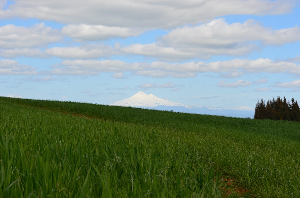 Agro Parcelas Vista Volcanes Lautaro - La Araucanía