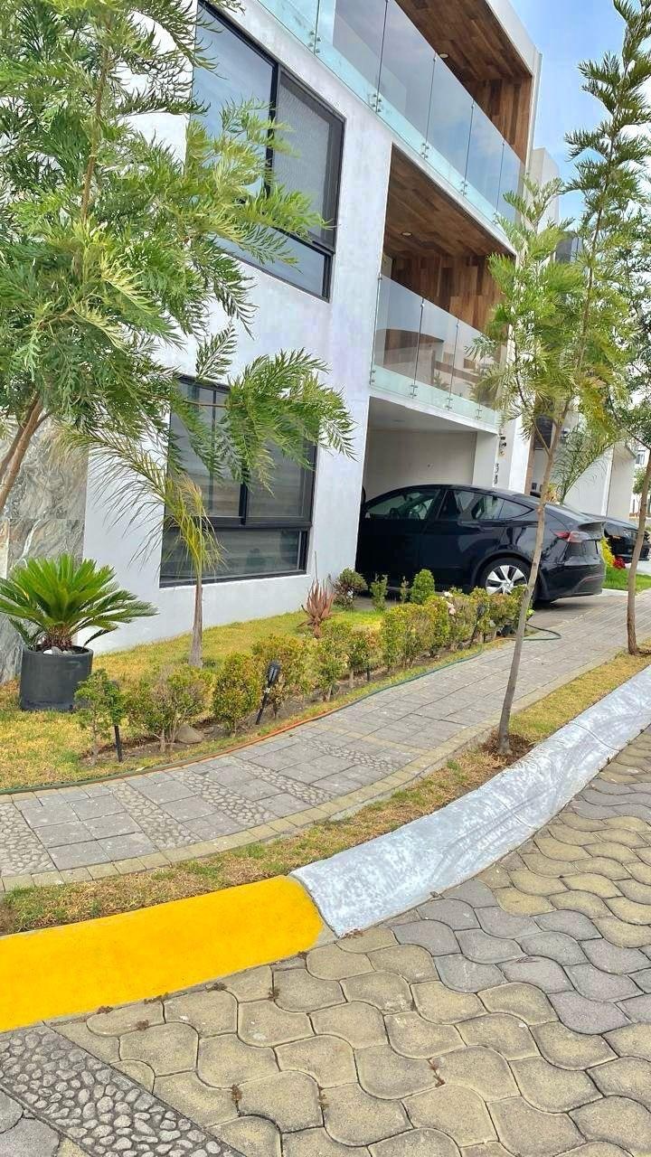 https://portalterreno.com/imagenes/terrenos/0106100038_whatsapp_image_2025-06-01_at_73904_pm_7.jpeg