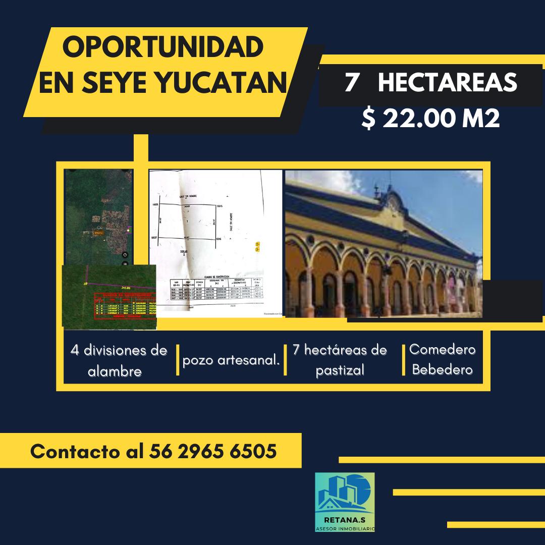 Venta Terreno / Lote Seyé - Seyé