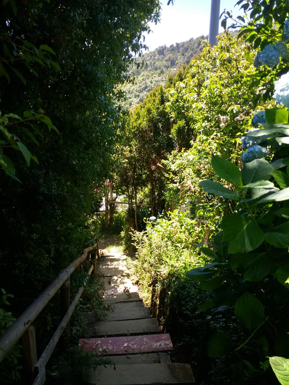 Venta Terreno Maicolpue - Los Lagos