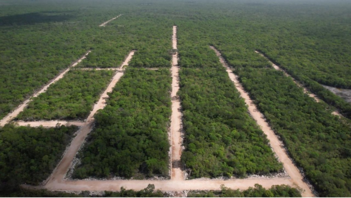 https://portalterreno.com/imagenes/terrenos/0207121321_terrenos_en_ucu_yucatan.jpeg