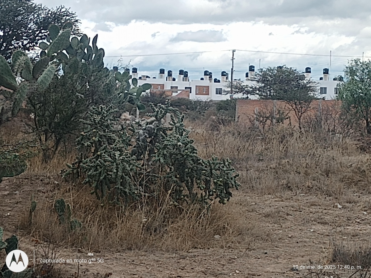 Venta Terreno / Lote San Juanico el Grande - San Luis Potosí