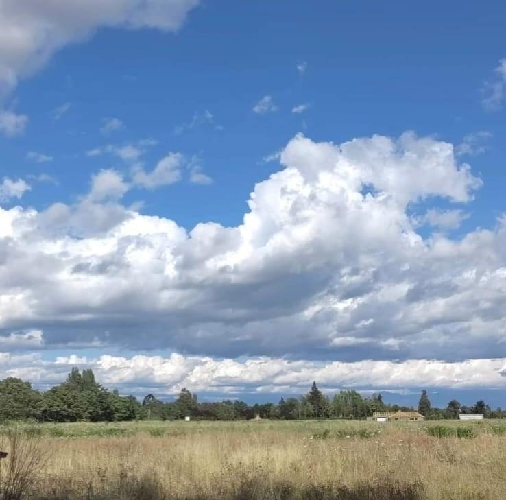 Venta Parcela San Carlos - Ñuble