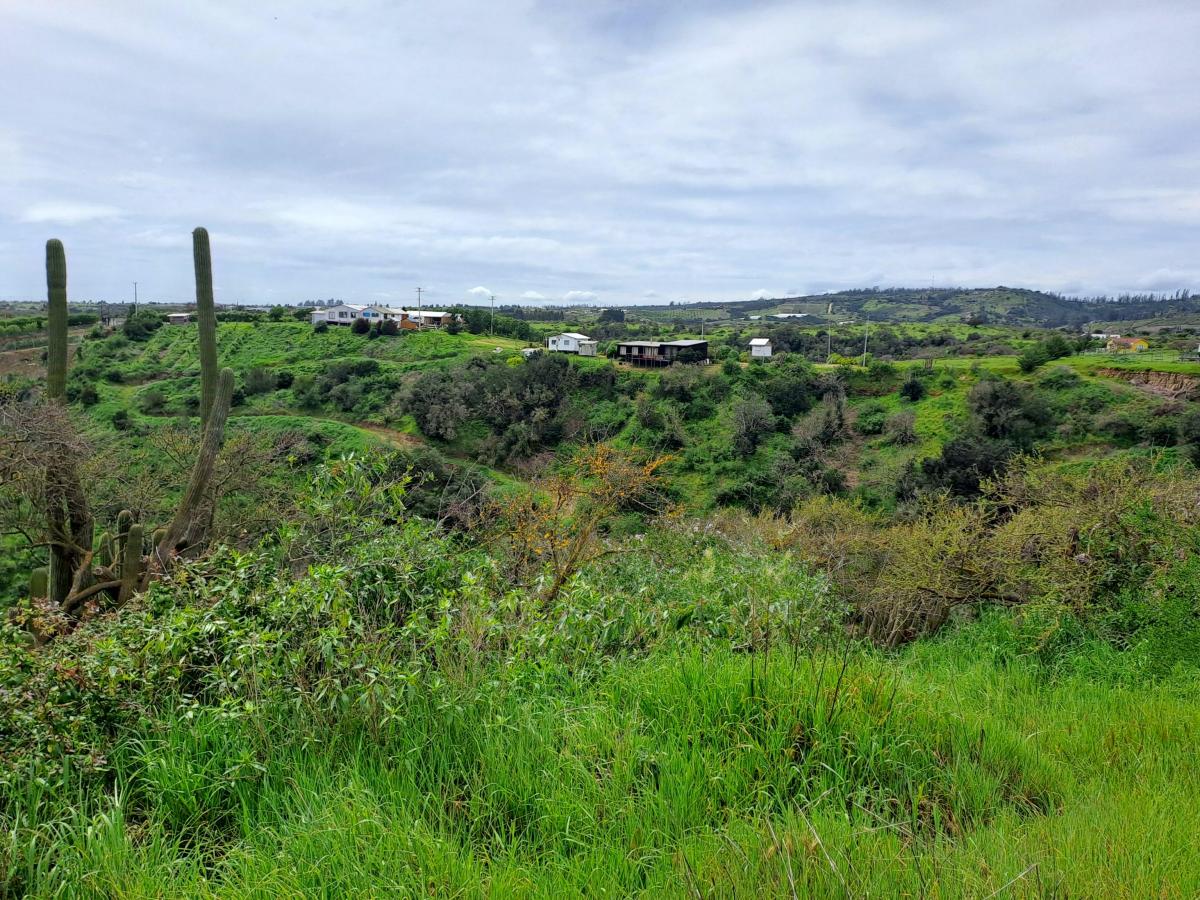 Venta Parcela Santo Domingo - Valparaíso