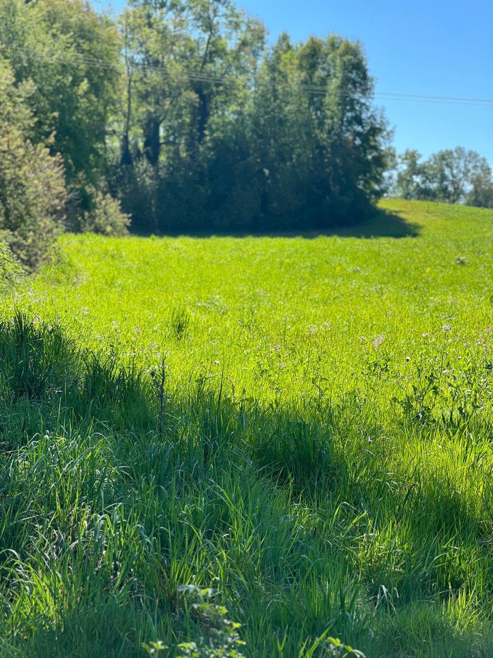 Venta Parcela Villarrica - La Araucanía