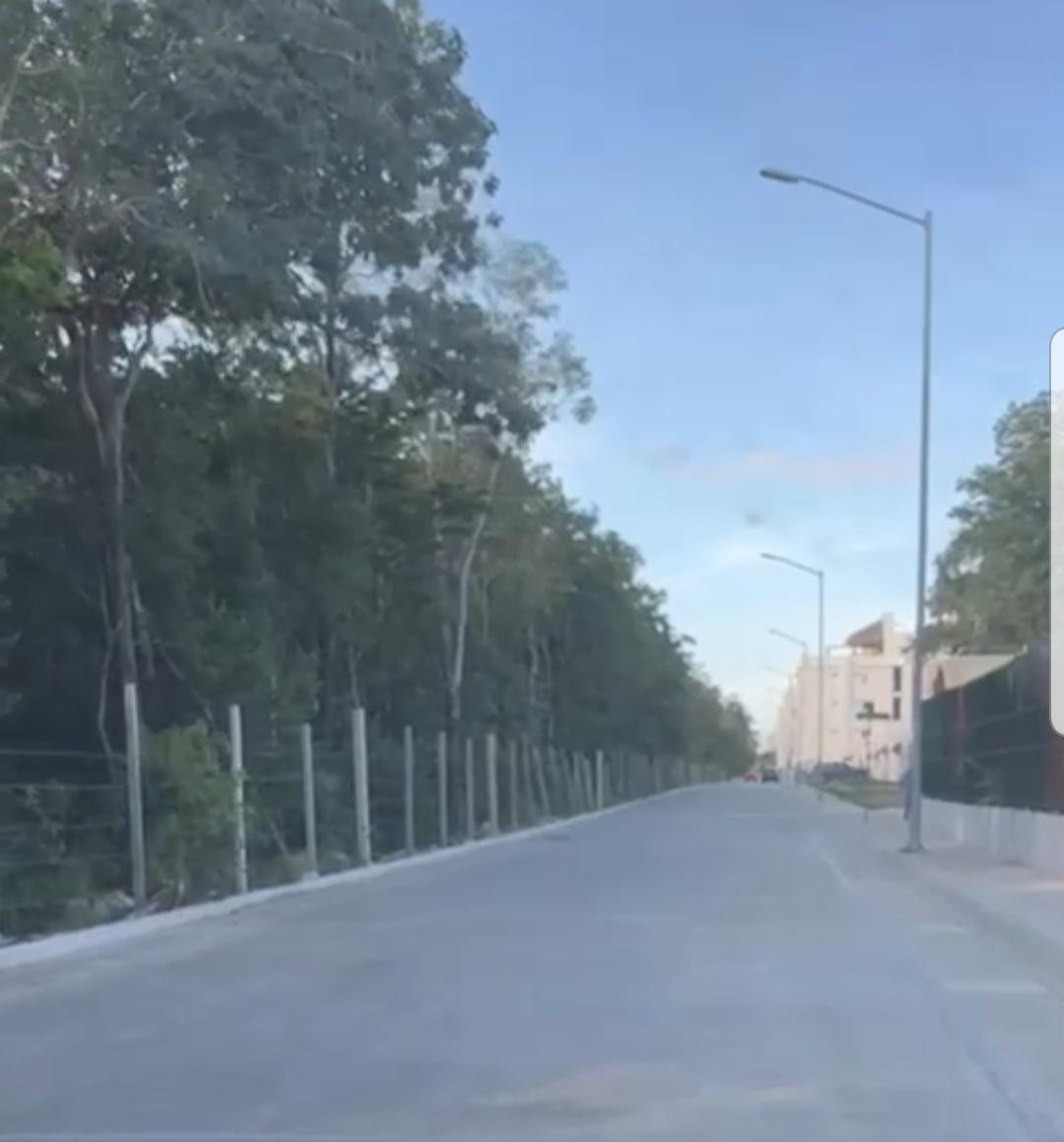 https://portalterreno.com/imagenes/terrenos/0505031435_img-20250505-wa0004.jpg