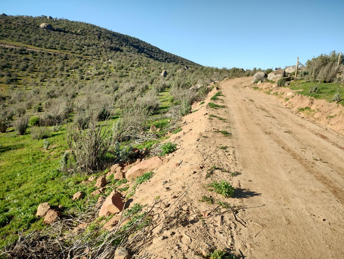 Venta Parcela Canela - Coquimbo