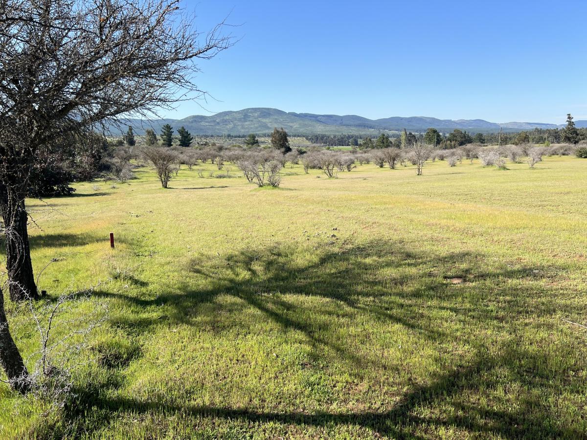 Venta Agrícola Ninhue - Ñuble