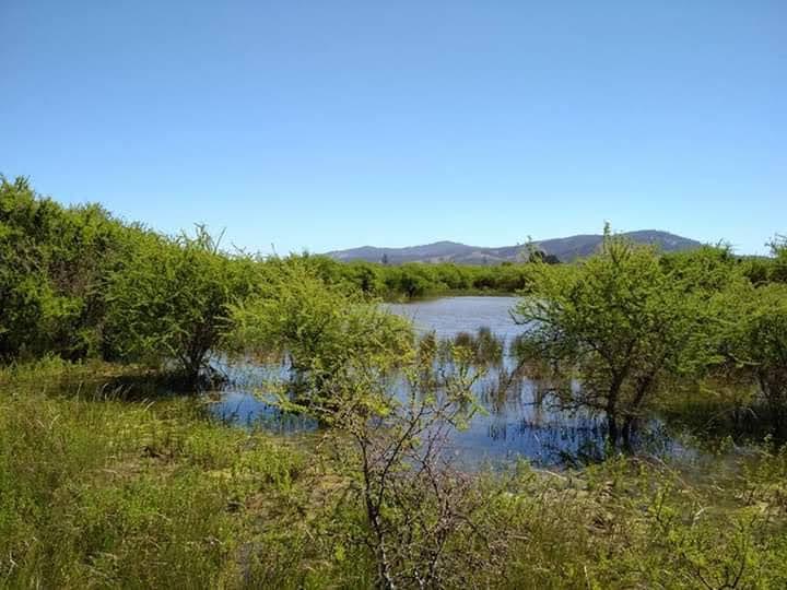 Venta Terreno San Nicolás - Ñuble