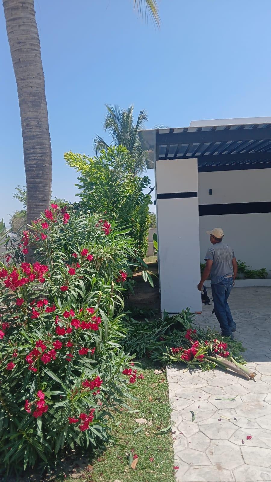 https://portalterreno.com/imagenes/terrenos/0705071308_img-20250506-wa0192.jpg