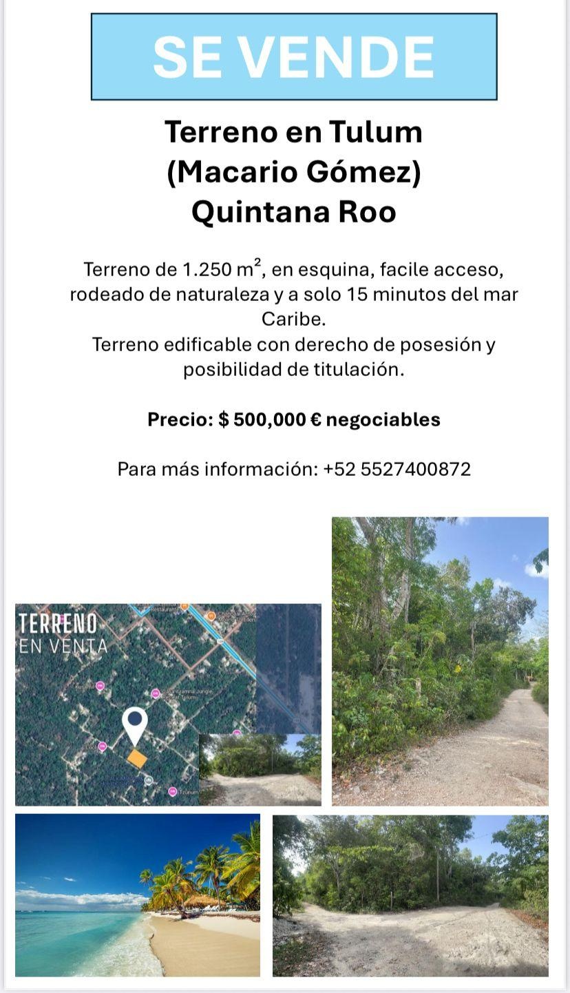 https://portalterreno.com/imagenes/terrenos/0706042309_immagine_whatsapp_2025-06-07_ore_220724_b6d7eb03.jpg