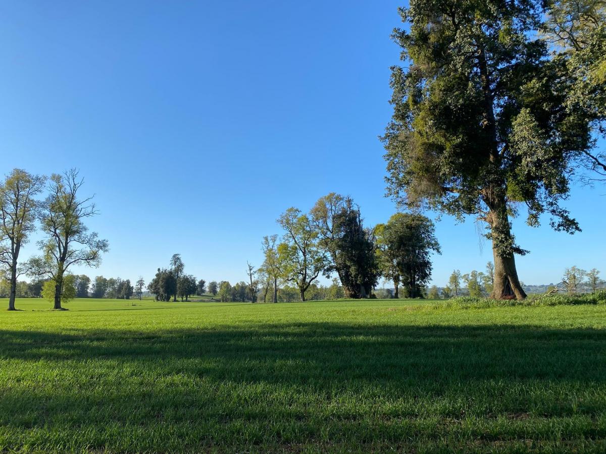 Venta Parcela La Union - Los Ríos