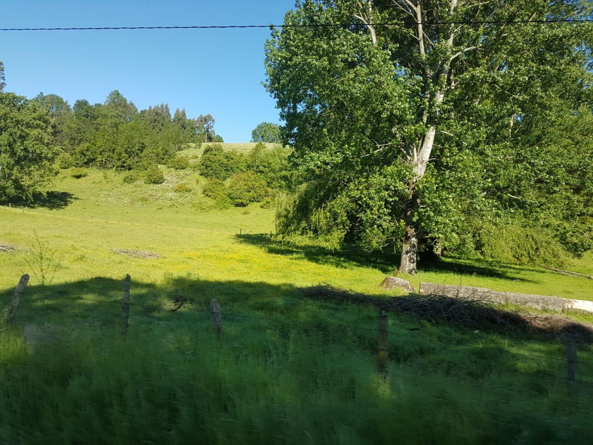 Venta Agrícola Río Negro - Los Lagos