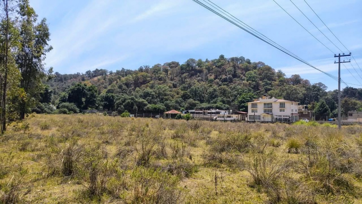 https://portalterreno.com/imagenes/terrenos/0906104308_1000045200.jpg
