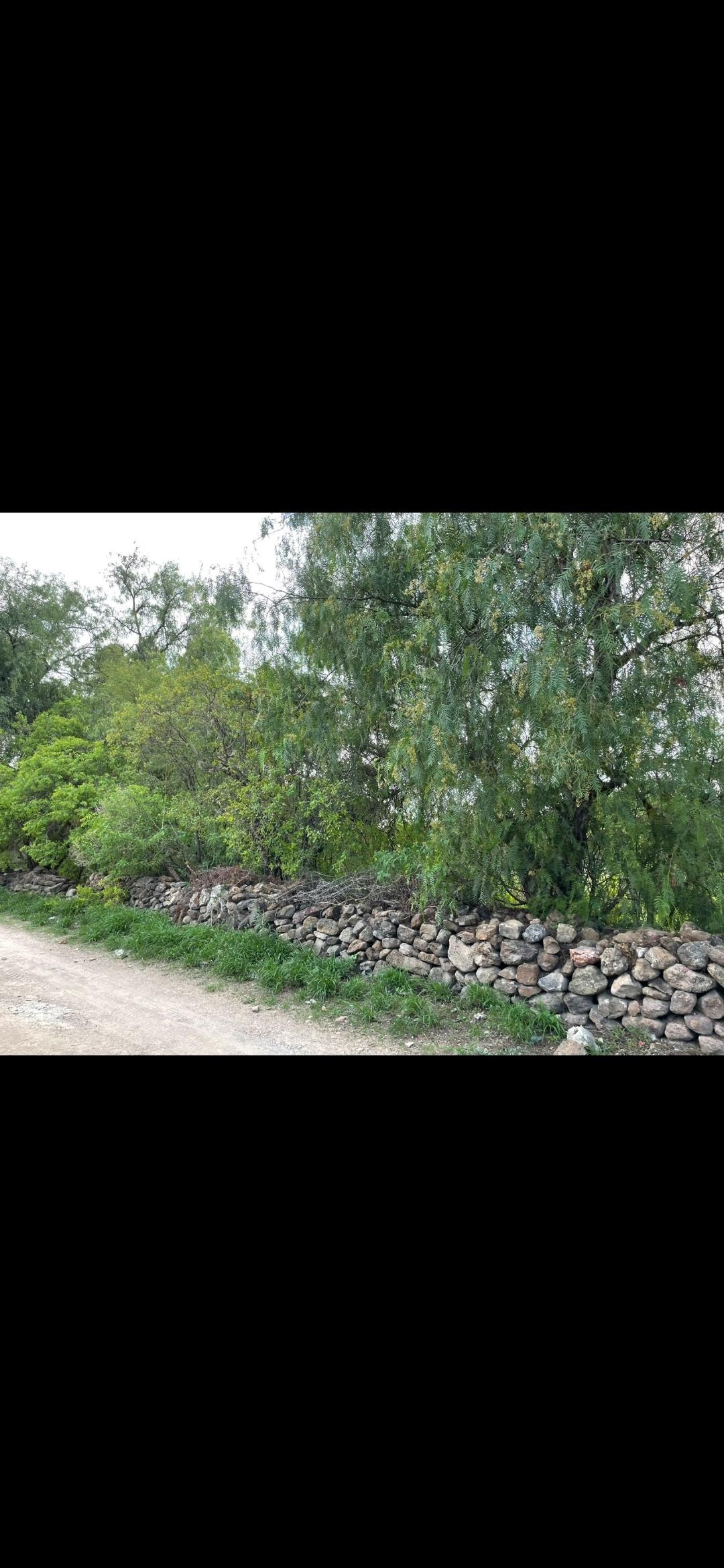 https://portalterreno.com/imagenes/terrenos/0906105224_1000046755.jpg