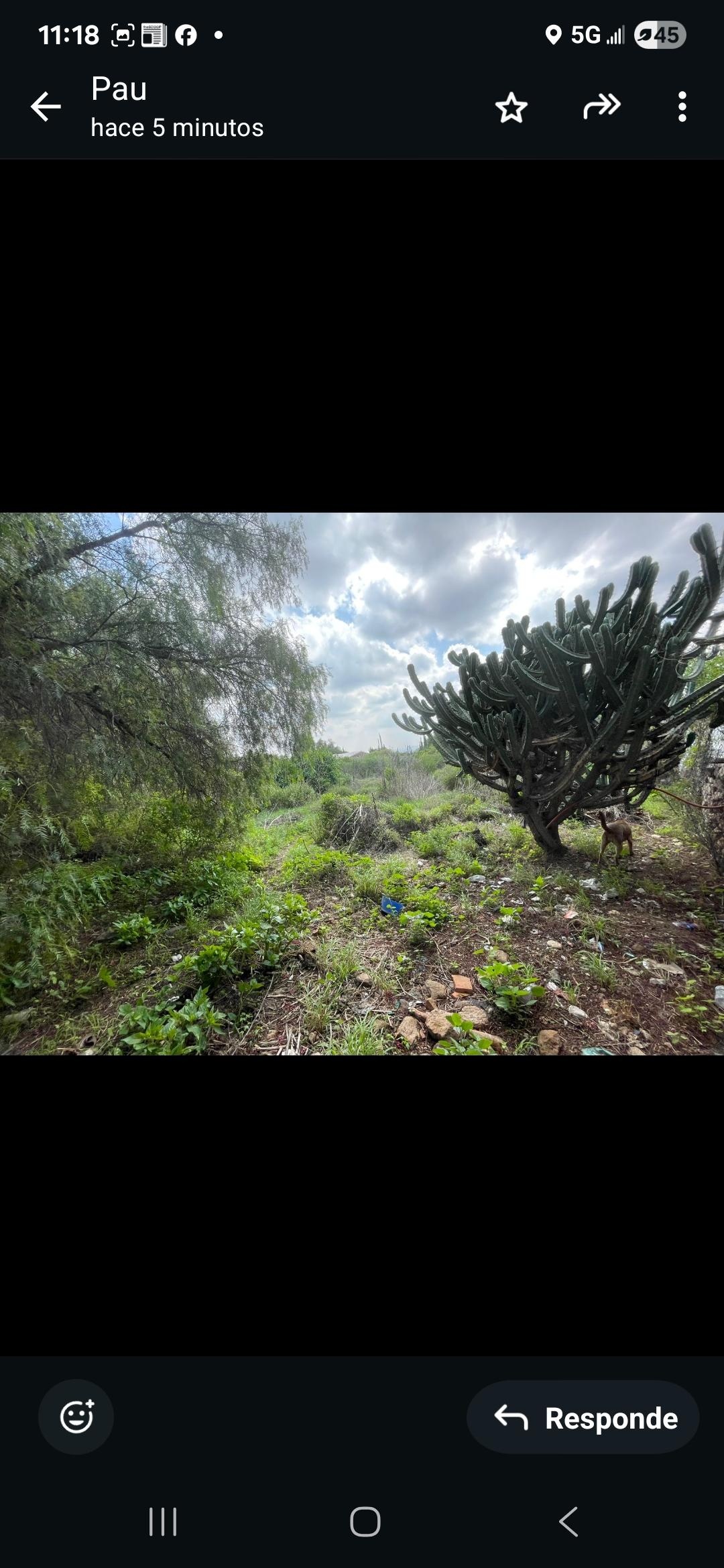 https://portalterreno.com/imagenes/terrenos/0906105224_1000046756.jpg