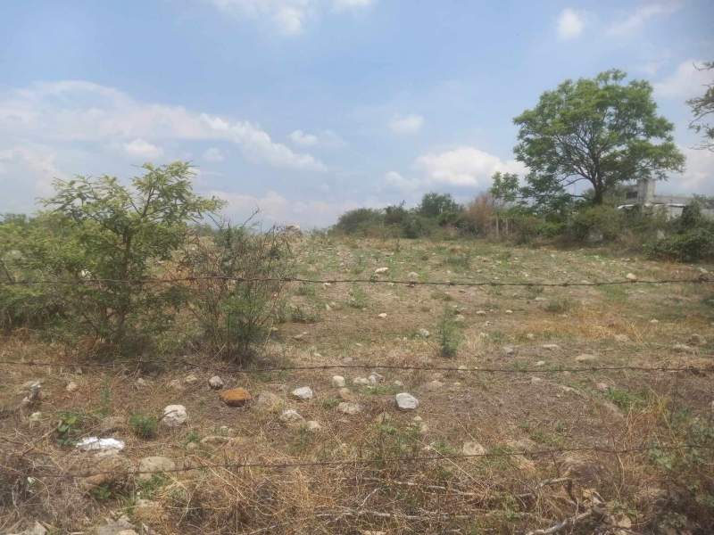 Venta Terreno / Lote Santa Úrsula - Temixco