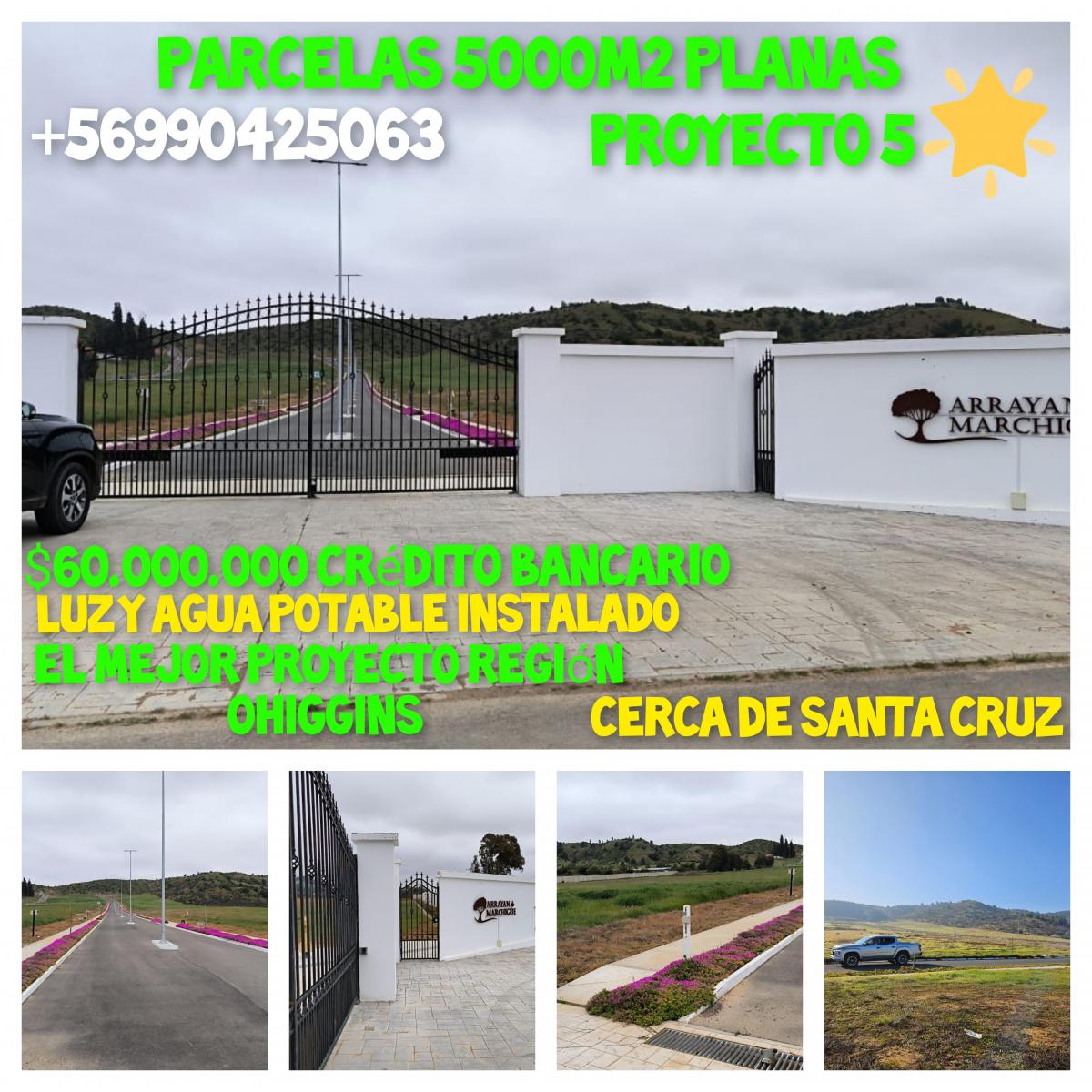 Venta Parcela Santa Cruz - O'Higgins