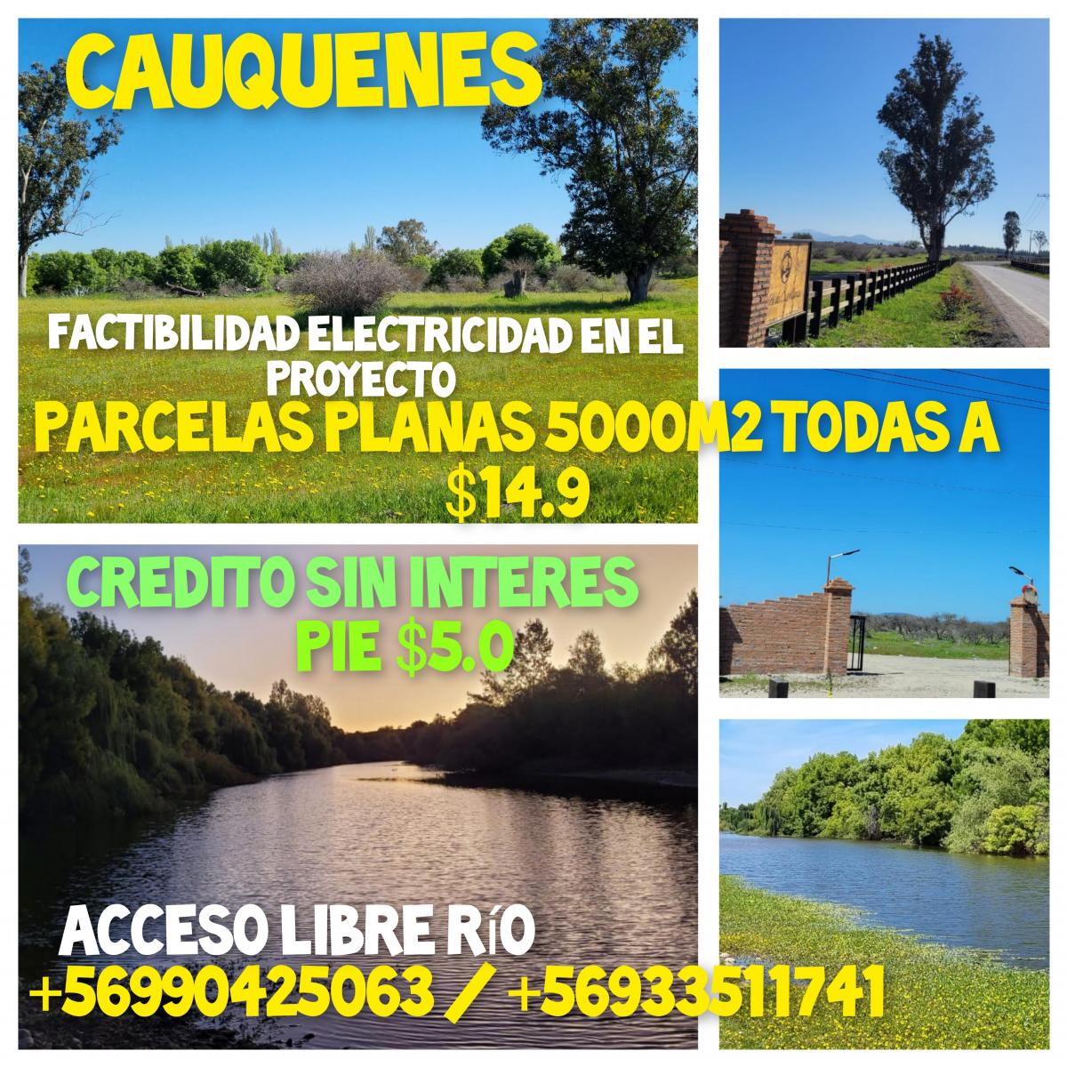 Venta Parcela Cauquenes - Maule