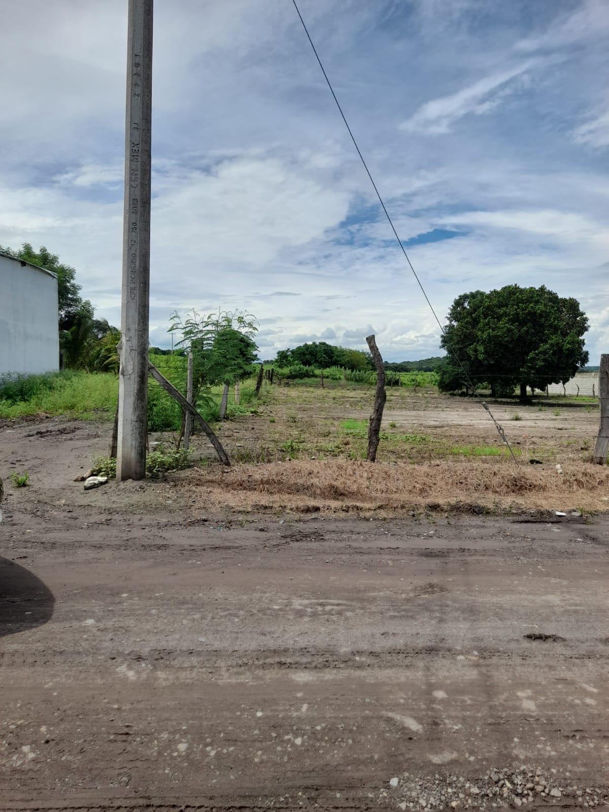 Venta Terreno / Lote El Organito - Soledad de Doblado