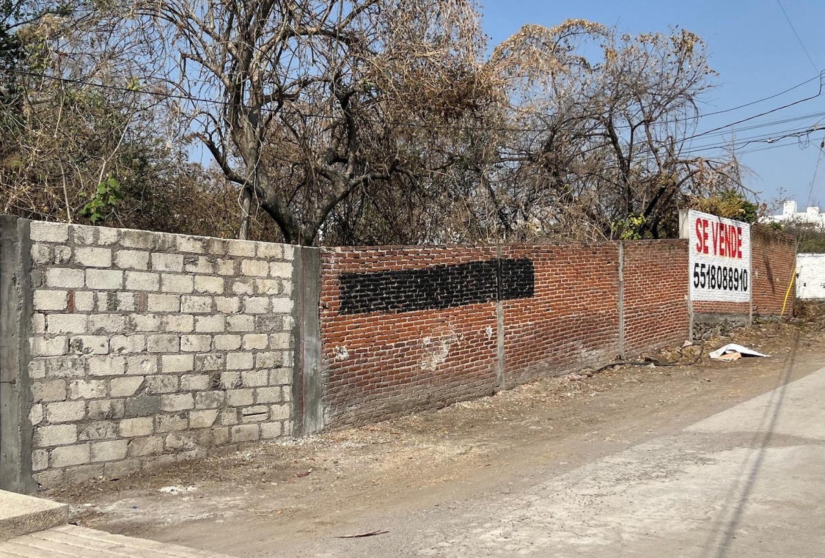 https://portalterreno.com/imagenes/terrenos/1106050906_img_6298.jpeg