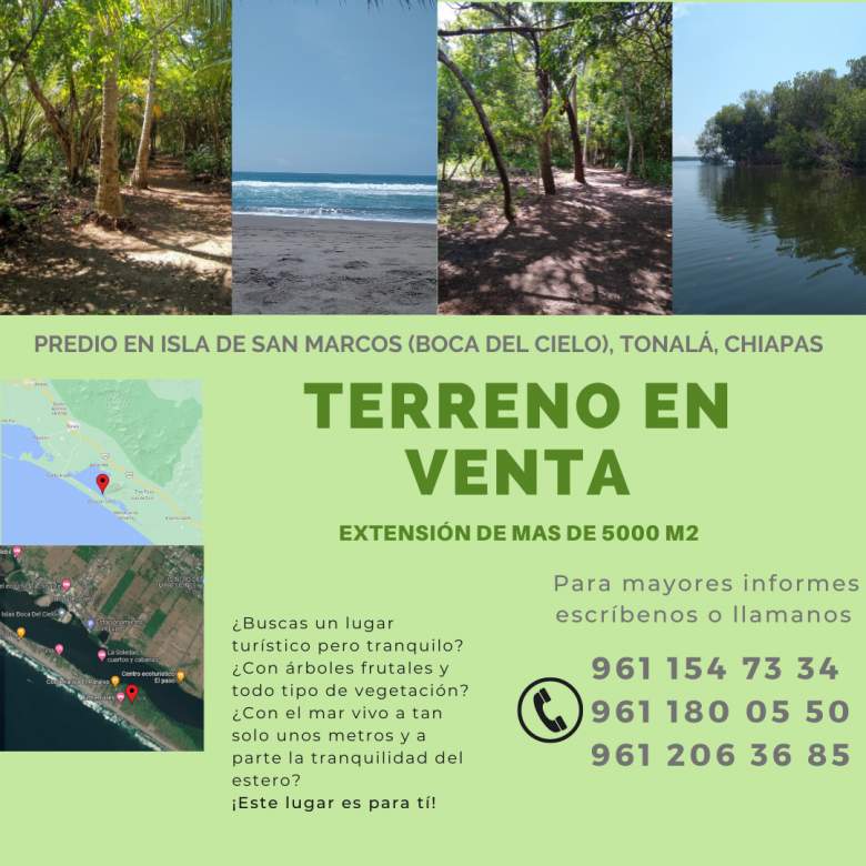 https://portalterreno.com/imagenes/terrenos/1306013031_post_de_instagram_bienes_raices_verde.png