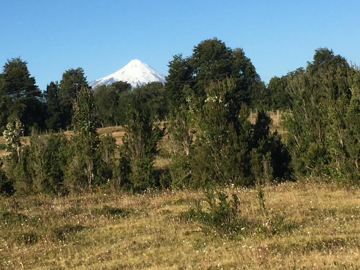 Venta Parcela Puerto Varas - Los Lagos