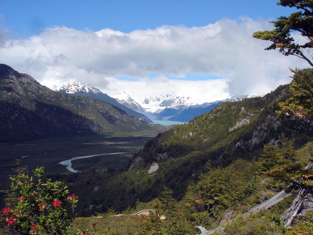 Venta Terreno Chile Chico - Aysén