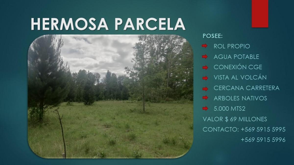 Venta Parcela Molco - La Araucanía